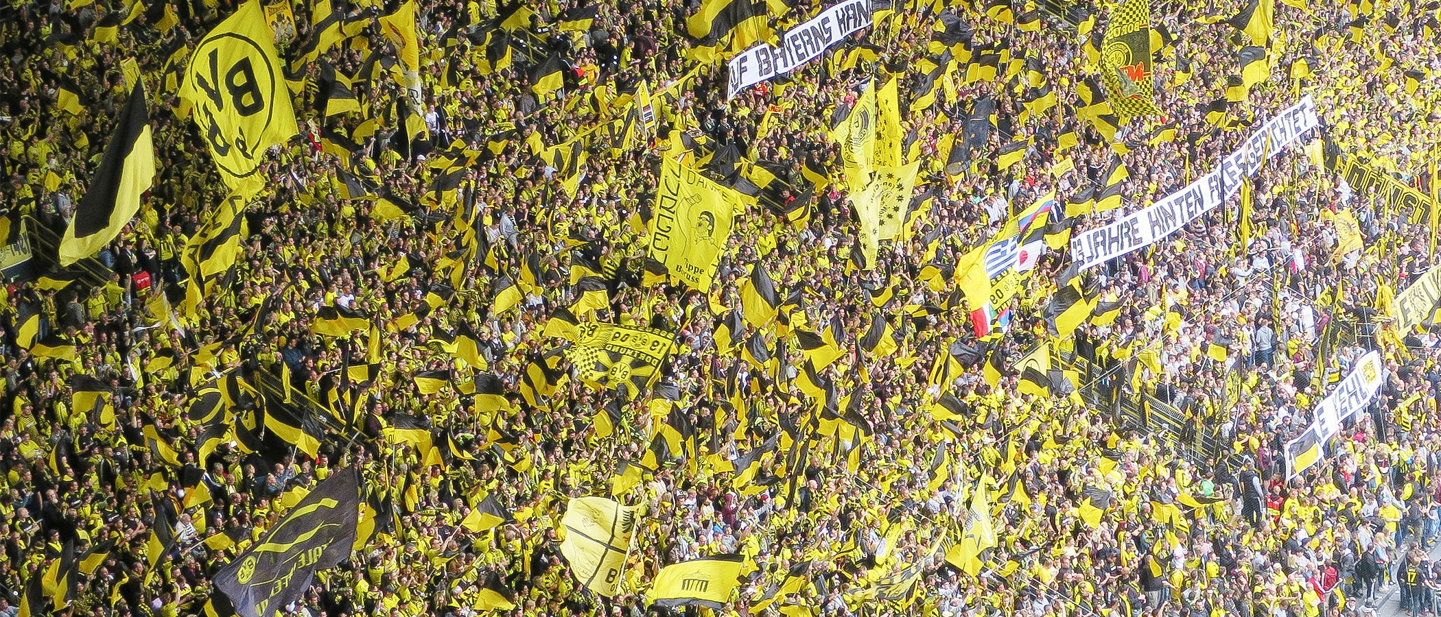 BVB Fanshop