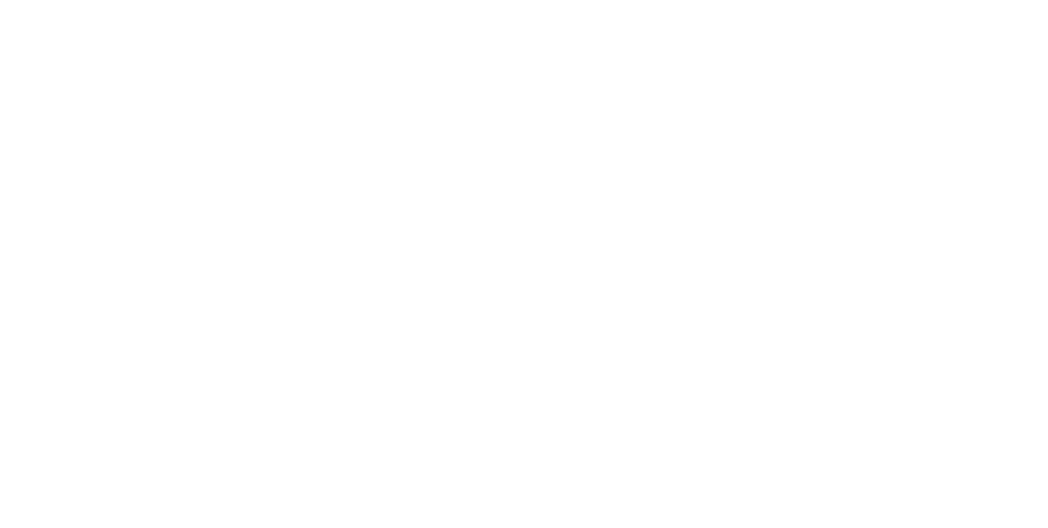 BVDM