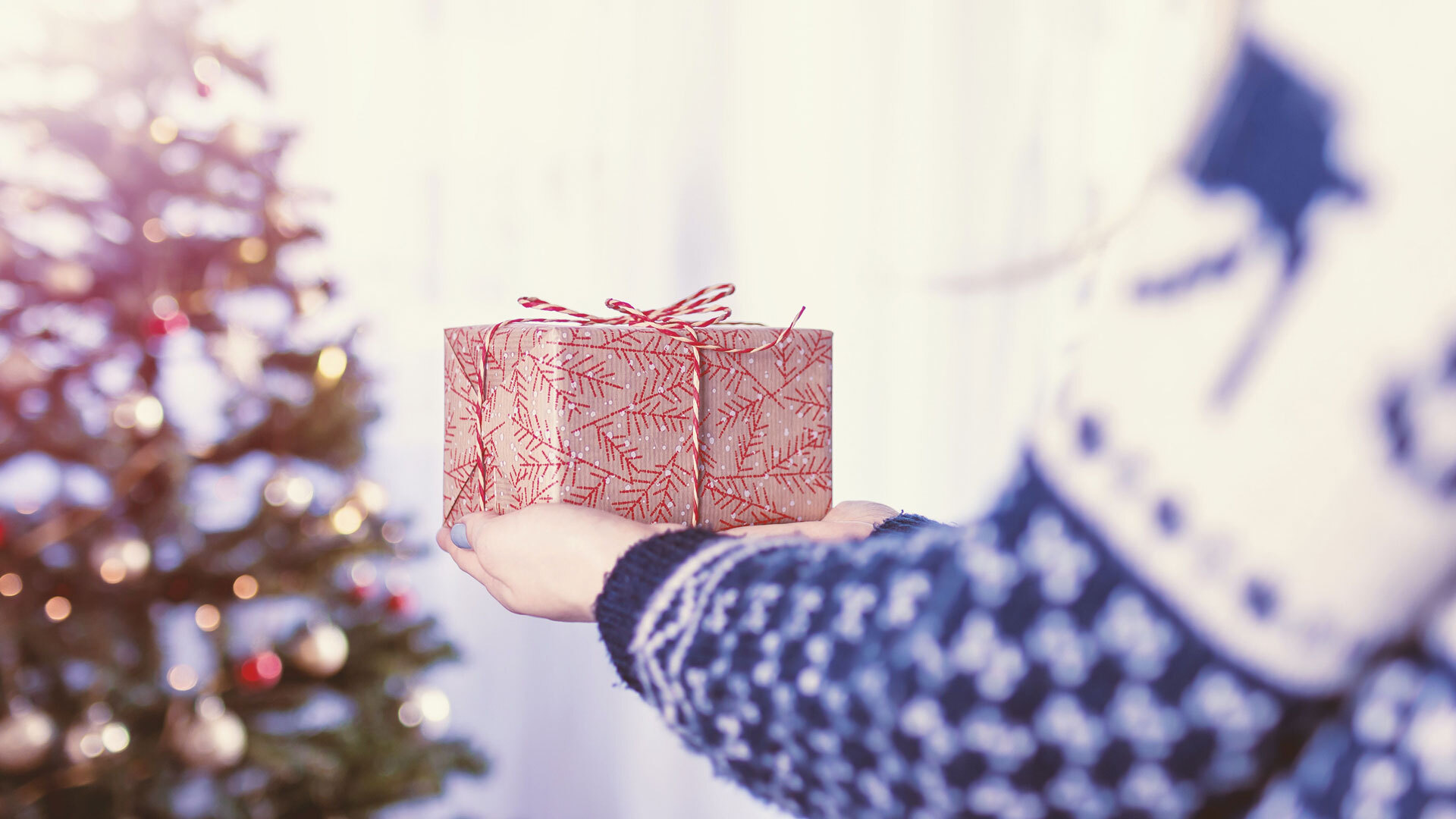 Dimedis weihnachten spende
